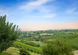 Cultuur en wijn in Piemonte, Mondovì foto 17