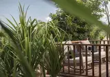 Menjangan Dynasty Resort foto 22