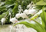 OHANA Lodges foto 4