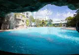 Delta Hotels by Marriott Orlando Celebration foto 9