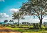 Geheime Schatten van Tanzania foto 7