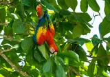 Ontdek Costa Rica foto 2