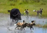 Ontdek Tanzania foto 3
