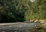 Forest Camping Mozirje foto 17