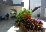 Athena foto 9