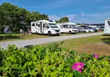 Camping Grenen Strand foto 8