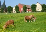 Bungalowpark Landsrade foto 2