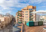 JS Palma Plaza foto 19