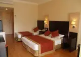 Viking Garden Hotel & Spa foto 12