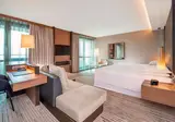 Sheraton Grand Tbilisi Metechi Palace foto 5
