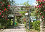 Caravelle Camping Village foto 8