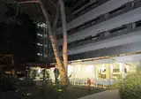 Hotel Rex foto 16