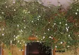 Hotel Metin foto 1