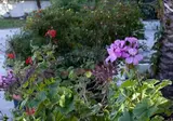 Anetis Beach Hotel foto 25