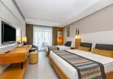 Sidera Kirman Premium foto 19