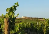 Masseria Amastuola Wine Resort foto 24