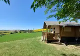 Camping Tenuta Tredici Ulivi foto 3