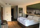 Dolomeet Boutique Hotel foto 27