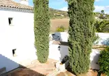 Molino del Arco foto 21