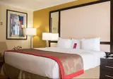 Ramada Plaza by Wyndham Marco Polo Beach Resort foto 11
