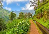 8 daagse singlereis Veelzijdig Madeira foto 1