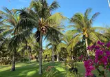 Pandanus Resort foto 5