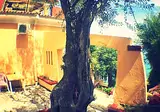 Batelo Hotel – Adults Only foto 15
