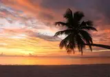 Canareef Resort Maldives foto 5
