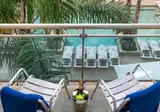 La Palmera foto 15