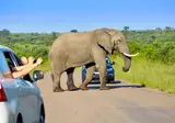 Kaapse Familievakantie foto 11