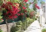 Sirios Village foto 18