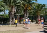 Les Tropiques foto 10