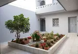 Irene Beach Apartments foto 5