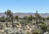 West-Amerika op het gemak foto 15
