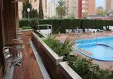 Alpha foto 24