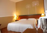 Domus Grand Hotel foto 4