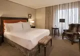 Hyatt Regency Hesperia Madrid foto 3