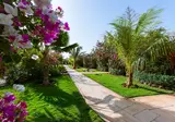 Royal Horizons Baobab foto 18