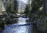 Ontdek Elzas en Vogezen foto 10