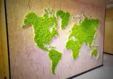 MB Hostels Premium "ECO" foto 26