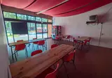 Vagueira foto 18