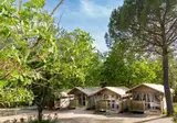 Firenze Certosa Camping foto 3