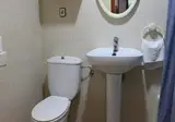 Alpha foto 8