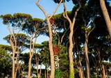 Camping hu Park Albatros Village foto 12
