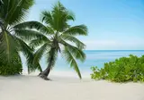 AVANI Barbarons Seychelles Resort foto 4