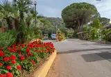 Rosselba Le Palme foto 5