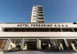 Exe Peregrino foto 11
