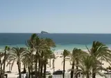 El Palmeral foto 27