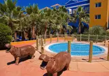 Playaballena Hotel foto 12