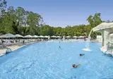 Forest Beach Hotel foto 2